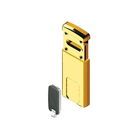 DEFENDER MAGNETICO MG220 DISEC - DM MM 110X55 OTTONE LUCIDO - 1 pezzo (1/3)