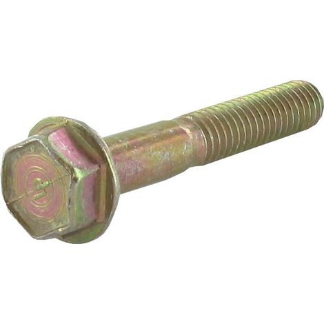 Schraube tankdeckel BRIGGS ET STRATTON 691640