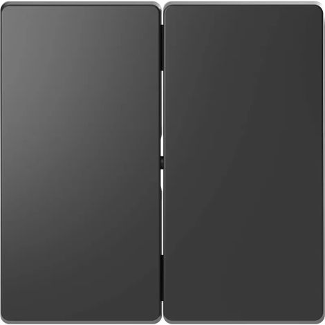 Wippe für Serienschalter neutral System Design Anthrazit (1/2)