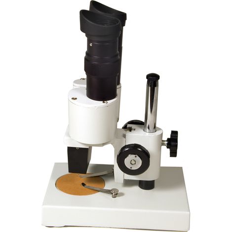 Microscopio Levenhuk 2ST