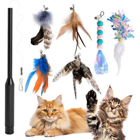 Canne a Peche pour Chat Extensible 150cm avec 6 Plumes Interchangeables (1/5)