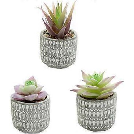 Lot de 3 plantes succulentes artificielles en pot, petits ornements créatifs