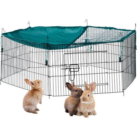 Free range fenced with netting (1/5)