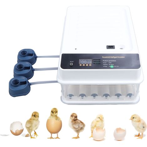 Incubateur d'œufs automatique pour poules cailles - Couveuse automatique avec retournement et mirage LED - Alimentation duale 110V - Capacité 24 œufs (1/4)