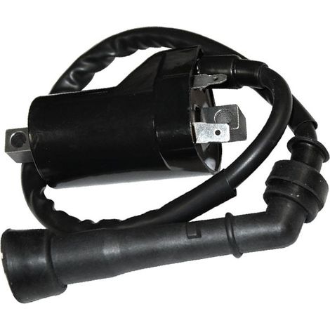 Die Zündspule ist geeignet für Suzuki Sv650 Sv-650 Sv650S 1999-2002.