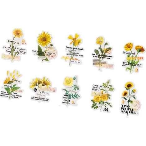 10 feuilles autocollants fleurs transparents PET vintage pour déco carnet journal artisanat type 1 (1/5)