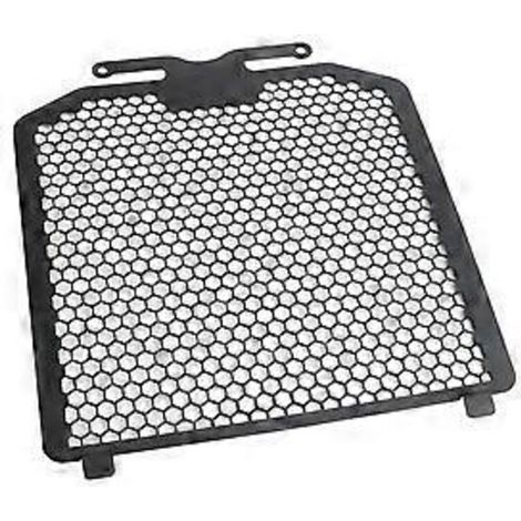 Grille de protection de radiateur pour moto VOGE 2023 2024 250 GT SR25 (1/5)