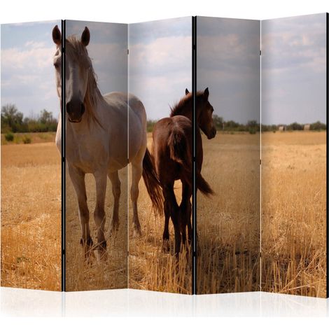 Paravent 5 Volets "Horse & Foal" 172x225cm (1/2)