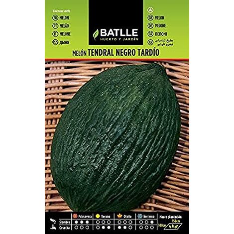 Semi Batlle – Melone (1/3)