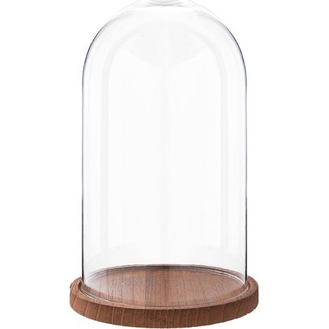 Cloche de Présentation en Verre avec Socle pour Décoration et Exposition 16 x 28 cm - PANGIVO (1/2)