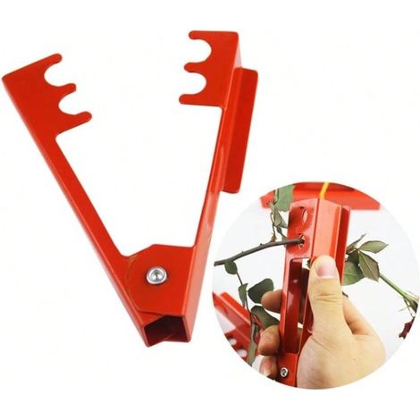 Clip pour retirer les épines de feuilles en fer rouge : pince forte pour retirer les épines, ne se déforme pas facilement, destiné aux roses et fleurs, outil floral de jardin (1/5)