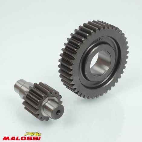 Pont arrière de transmission Malossi pour Scooter Italjet 125 Jet (1/2)