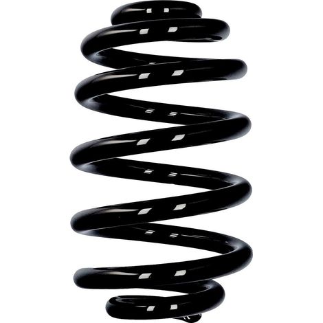 Molla posteriore Eibach ERL per BMW R10010 (1/2)