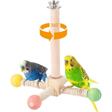 Jouet interactif rotatif pour perroquet - Perchoir rotatif - Support d'exercice rotatif en bois - Jouet pour oiseaux - Accessoire pour cage à oiseaux - Pour perruches ondulées, calopsittes et petits o (1/5)