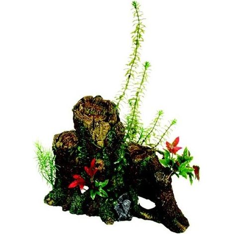 Tronc de bois dco dco avec des plantes X-L