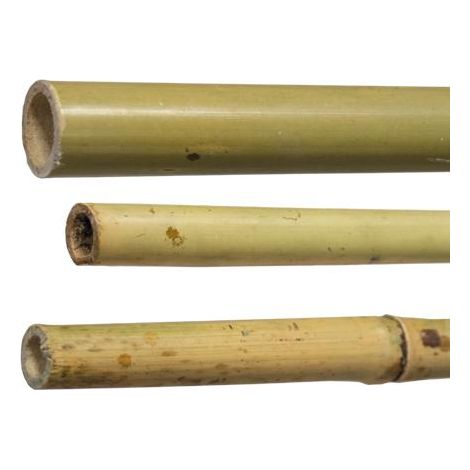 CANNE BAMBU' H180-DIAM 22/24 MM