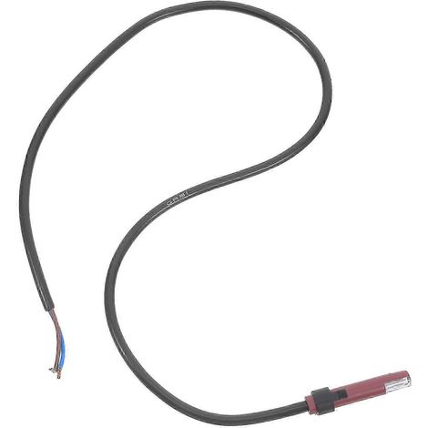 Pièces de rechange pour détecteurs de flamme dans les chaudières à gaz compatibles avec les brûleurs durables 26-27 (1/5)