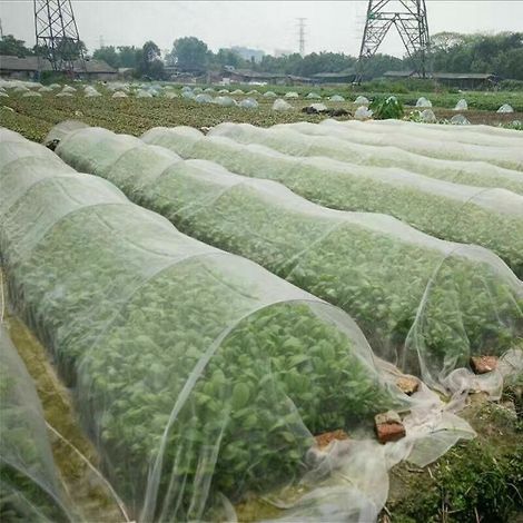 Filets anti-insectes pour plantes, filets en nylon anti-poussière, serres à légumes, filets anti-oiseaux, filets pour vergers de jardinage (1/4)