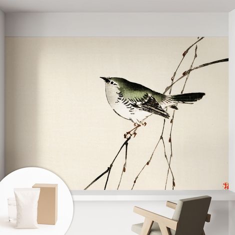 Papier peint avec colle pour décoration moderne de salon chambre à coucher cuisine et bureau Facile L'oiseau harmonieux 152x104 cm (1/5)