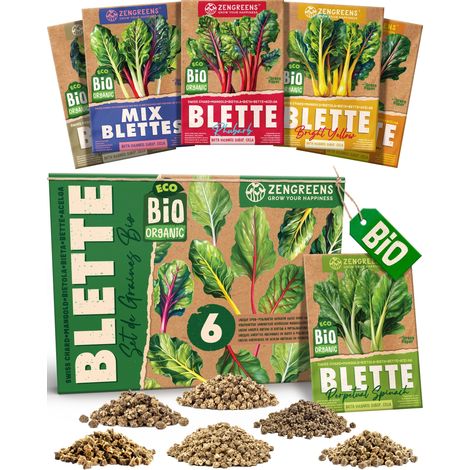 Graines de blettes bio set 6 variétés reproductibles pour potager (1/5)