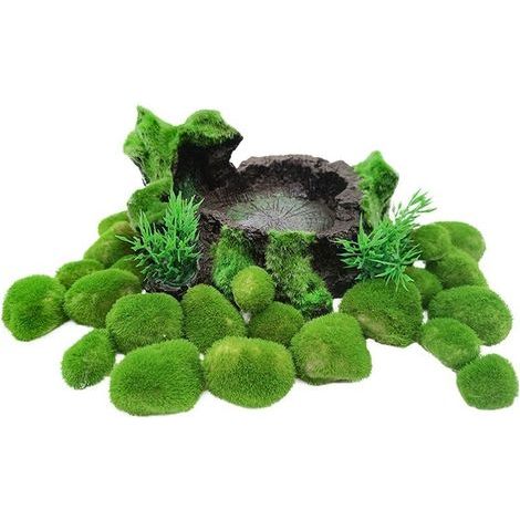 Set mit 8 Aquarienmooskugeln - Dekorative grüne Algenkugeln zur Verschönerung Ihres Aquariums (grüne Algenkugeln 2 bis 3 cm) (1/5)