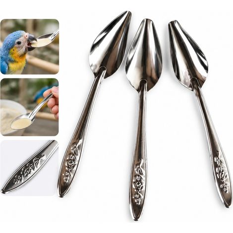 50 Pièces Cuillère d'Alimentation pour Perroquet en Acier Inoxydable, Dimensions 11.5×2.1 cm, Outil pour Oisillons (1/5)
