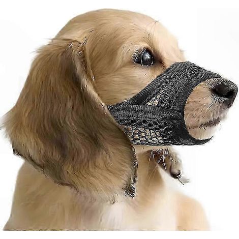 Muselière courte pour chiens petites et moyennes races, anti-morsure et concentration, adaptée aux brachycéphales, Chihuahua, Spitz, Bouledogues (1/5)