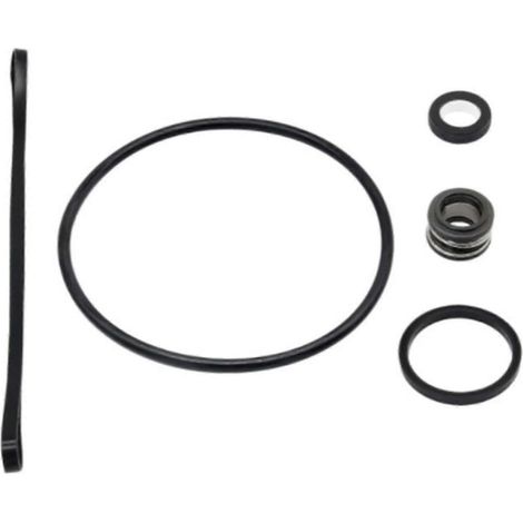 Kit de réparation de joints toriques SP3000x, pièces de rechange, kit d'étanchéité pour pompes de piscine, accessoires (1/5)