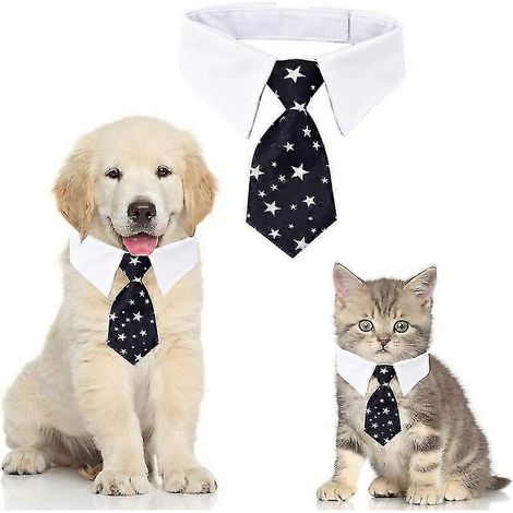 Filiyano-1 collier ajustable pour chat et chien, idéal pour les petits chiens et chiots (taille S, noir étoilé) (1/5)