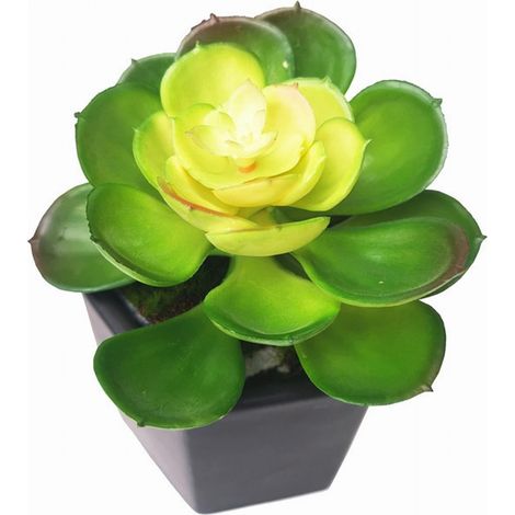 Succulent Artificiel - Cactus Faux - Décoration Intérieure Maison Bureau Événements - 1 Pièce (1/5)