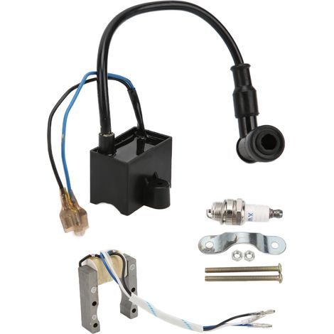 Kit d'allumage magnéto-stator-bougie-bobine-CDI en métal et caoutchouc pour vélo motorisé 49cc-80cc (1/5)