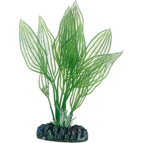 Hobby Aponogeton, Plante d'aquarium artificielle pour la décoration - 16 cm