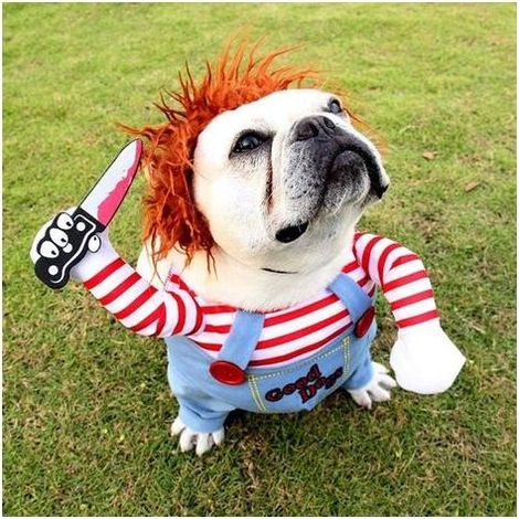 Costume de Chien té Drôles Animaux Fête Vêtements Cosplay Vêtements pour Animaux de Compagnie Convient aux Chiots Grands et (1/4)