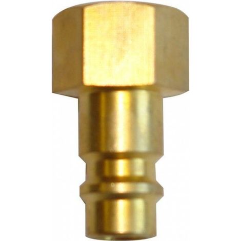 Raccords mamelon enfichable 1/4' IG - 2 pièces