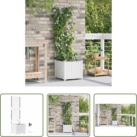 Pot de jardin - Cache-pot de jardin Blanc 40 x 40 x 142 cm Acier (1/5)