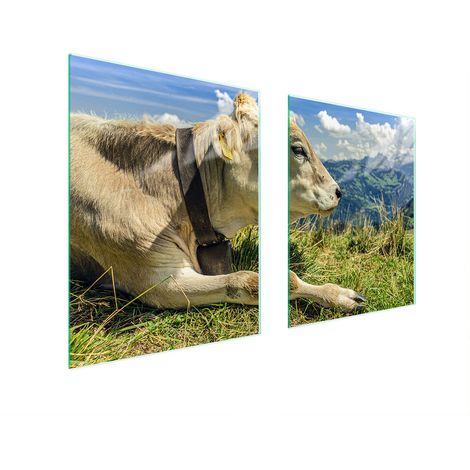 GLASSCHUTZPLATTE FÜR HERD 85x52 COW (1/5)