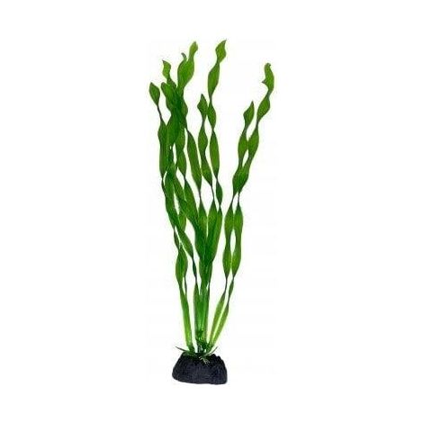 Pianta decorazione acquario no-name aquarium decoration plant base stabile sicura (1/2)