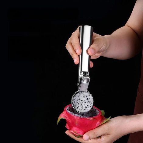 CHICIRIS Ensemble de Cuillères à Glace en Acier Inoxydable 304 avec (1/5)
