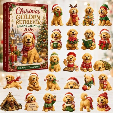 Golden retriever boîte rouge calendrier avent 2026 2D