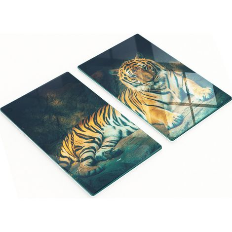 Tablas de cortar de cristal para cocina con estampado de la Cueva del Tigre, 2 x 30 x 52 cm.