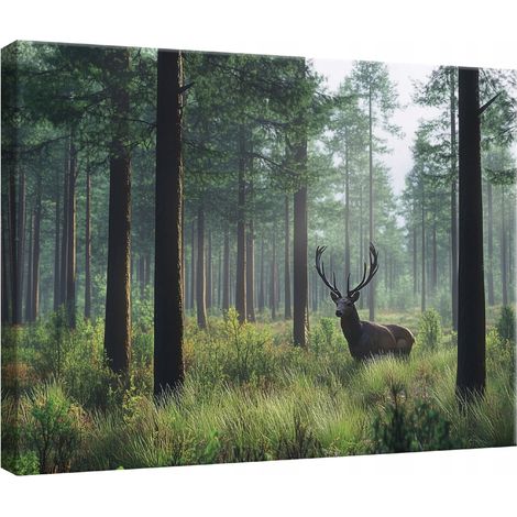 tableau pour chambre salon cuisine cerf nature fort sur toile mur 60x40 (1/3)