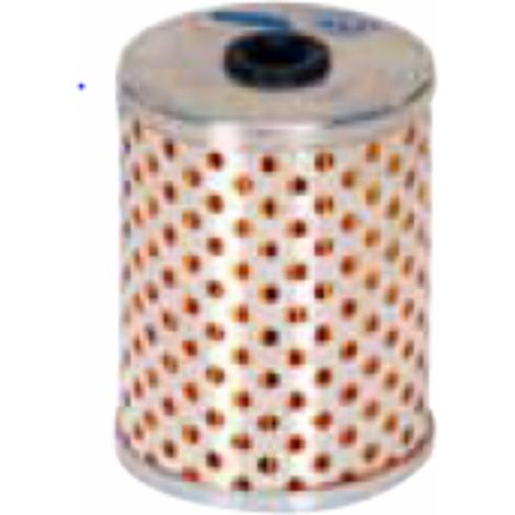 Filtro Gasolio per Carraro-Fiaam-Goldoni-Lombardini-Tecnocar-Ufi
