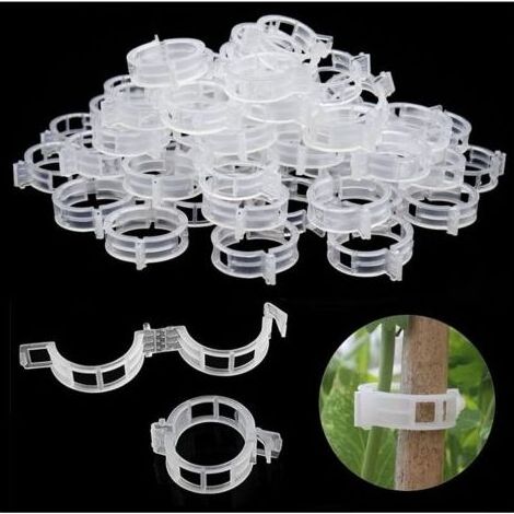 Attache Tomate, 300 Pcs Tuteur Grimpante Support pour Plante Grimpantes, Clips pour Jardinage et Potager (1/4)