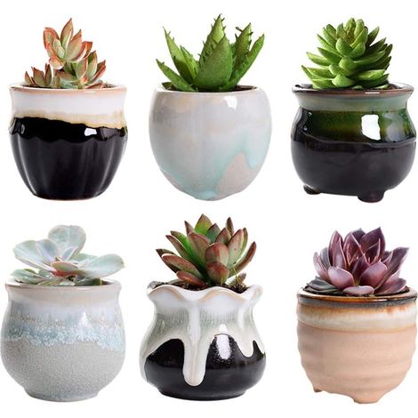 6-teiliges Keramik-Blumentopf-Set, Mini-Sukkulententopf, Kaktus-Pflanztopf für (1/5)