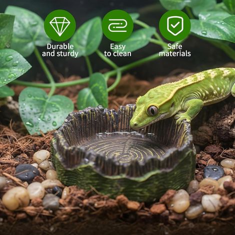Bassin pour reptiles JeiibrZui avec marches - Grand bain et abreuvoir pour tortues et grenouilles - Plastique ABS - Noir (1/5)