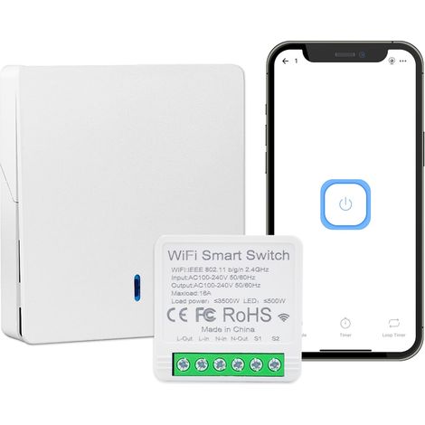 Module Relais WiFi 16A Mini, Interrupteur Lumière Sans Fil 2,4 GHz pour Domotique, Compatible avec 2,4 GHz (1/5)