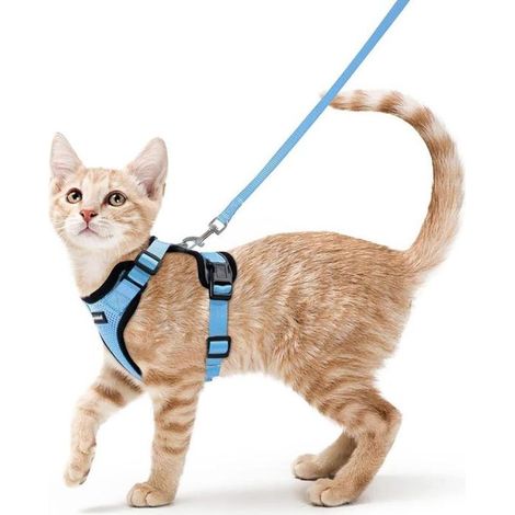 Harnais chat lapingoo S bleu clair, réglable et réfléchissant, gilet respirant avec laisse (1/5)