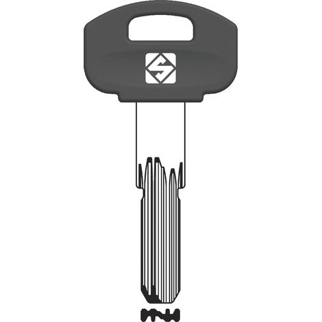 Silca CHIAVE PUNZONATA OTTONE SCM5RP (G. VAG 3) SECUREMME 5.00 pz