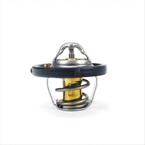Compatible avec les thermostats de liquide de refroidissement des automobiles Fiesta, Fusion et Figo (1/5)