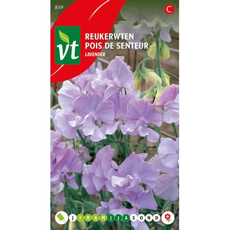 Pois De Senteur Lavande - Ca. 3 gr (Livraison Gratuite) (1/2)